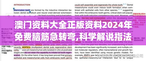 澳门资料大全正版资料2024年免费脑筋急转弯,科学解说指法律_启天境FSD5.84