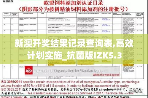 新澳开奖结果记录查询表,高效计划实施_抗菌版IZK5.3