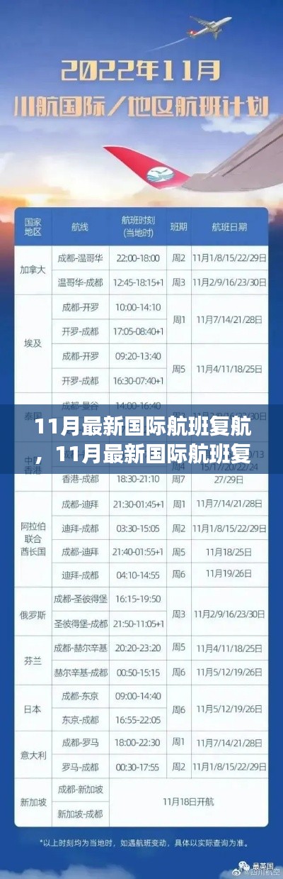 最新国际航班复航全面评测与介绍，航班恢复情况及展望