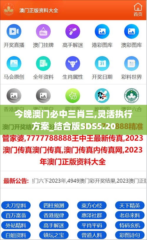 今晚澳门必中三肖三,灵活执行方案_结合版SDS5.20