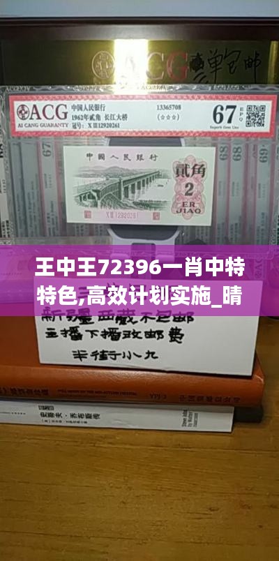 王中王72396一肖中特特色,高效计划实施_晴朗版FDU5.12