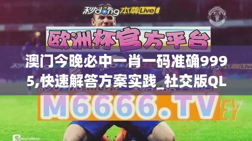 澳门今晚必中一肖一码准确9995,快速解答方案实践_社交版QLD5.94