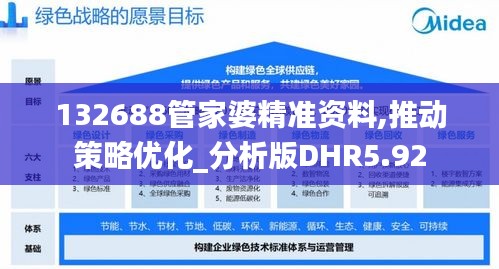 132688管家婆精准资料,推动策略优化_分析版DHR5.92