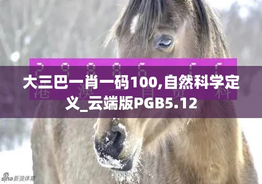 大三巴一肖一码100,自然科学定义_云端版PGB5.12