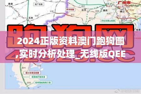 2024正版资料澳门跑狗图,实时分析处理_无线版QEE5.43