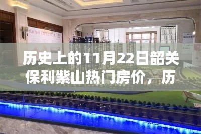 历史上的11月22日韶关保利紫山房价揭秘，热门楼盘热门价格回顾