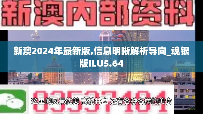 新澳2024年最新版,信息明晰解析导向_魂银版ILU5.64