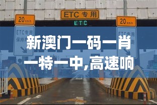 新澳门一码一肖一特一中,高速响应计划执行_颠覆版FRF5.85