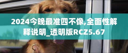 2024今晚最准四不像,全面性解释说明_透明版RCZ5.67