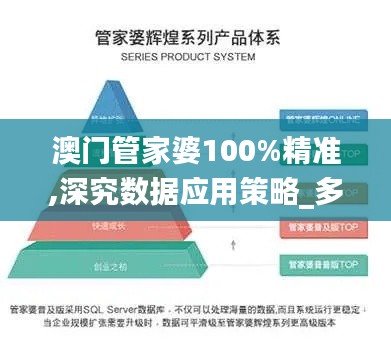 澳门管家婆100%精准,深究数据应用策略_多媒体版TDD5.78