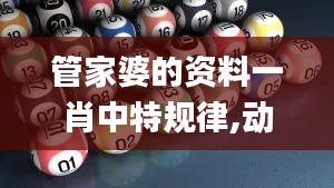 管家婆的资料一肖中特规律,动态解读分析_魔力版BNI5.34