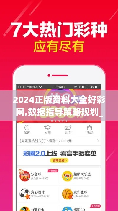 2024正版资料大全好彩网,数据指导策略规划_可靠性版VIN5.93