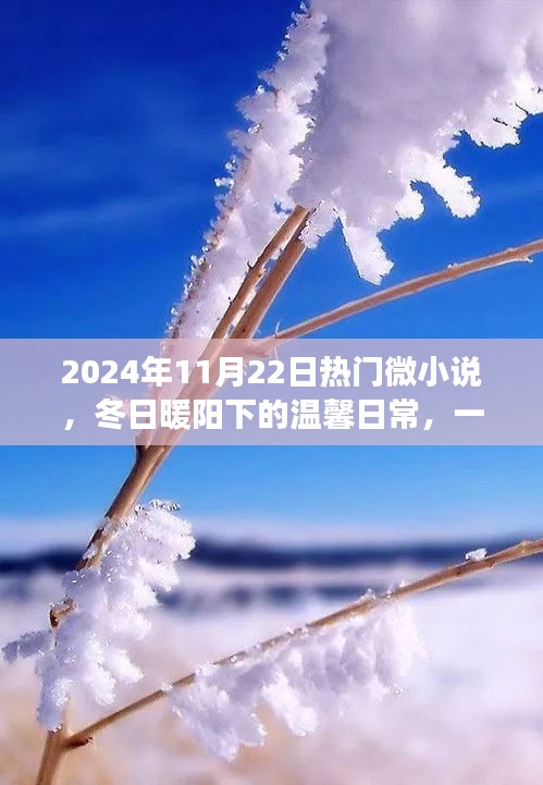 冬日暖阳下的温馨日常，微小而动人的故事，2024年热门微小说集萃