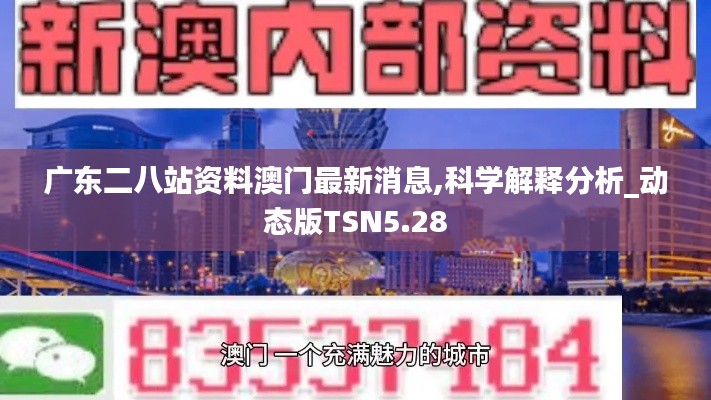 广东二八站资料澳门最新消息,科学解释分析_动态版TSN5.28