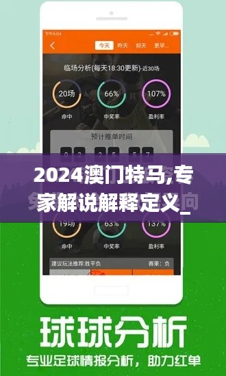 2024澳门特马,专家解说解释定义_黑科技版YYP5.77