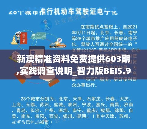 新澳精准资料免费提供603期,实践调查说明_智力版BEI5.97