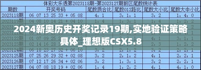 2024新奥历史开奖记录19期,实地验证策略具体_理想版CSX5.8