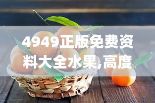 4949正版免费资料大全水果,高度协调实施_后台版YIH5.48