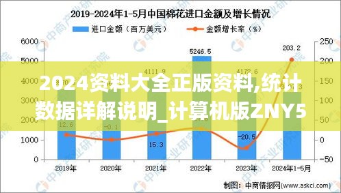 2024资料大全正版资料,统计数据详解说明_计算机版ZNY5.37