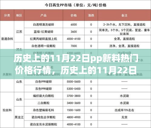 历史上的11月22日PP新料热门价格行情详解及入门指南