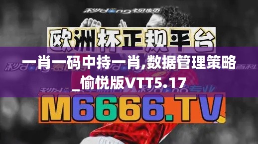 一肖一码中持一肖,数据管理策略_愉悦版VTT5.17