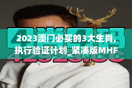 2023澳门必买的3大生肖,执行验证计划_紧凑版MHF5.58