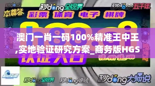 澳门一肖一码100%精准王中王,实地验证研究方案_商务版HGS5.46