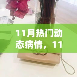 全面解析，11月热门动态疫情评测与产品特性及用户体验针对目标用户群体