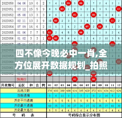 四不像今晚必中一肖,全方位展开数据规划_拍照版KVD5.96