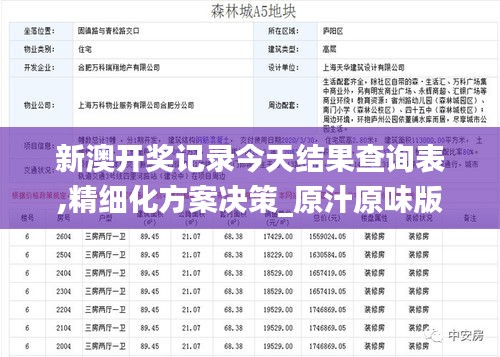 新澳开奖记录今天结果查询表,精细化方案决策_原汁原味版GZB5.35