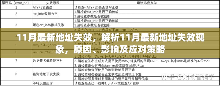 解析最新地址失效现象，原因、影响与应对策略（11月版）