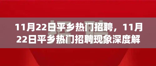 11月22日平乡热门招聘现象深度解析，聚焦观点之争与招聘热潮