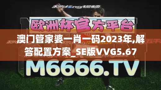 澳门管家婆一肖一码2023年,解答配置方案_SE版VVG5.67