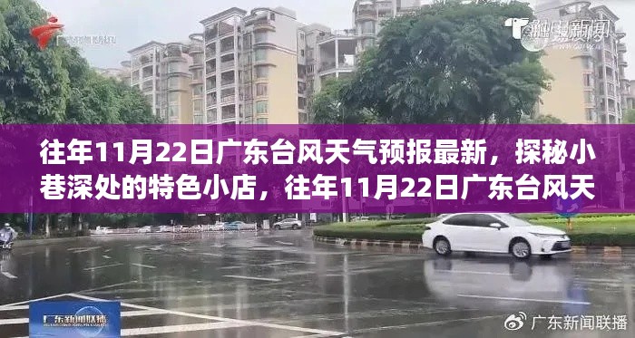 台风天气预报背后的故事，探秘广东小巷特色小店与气象风云的交织之旅