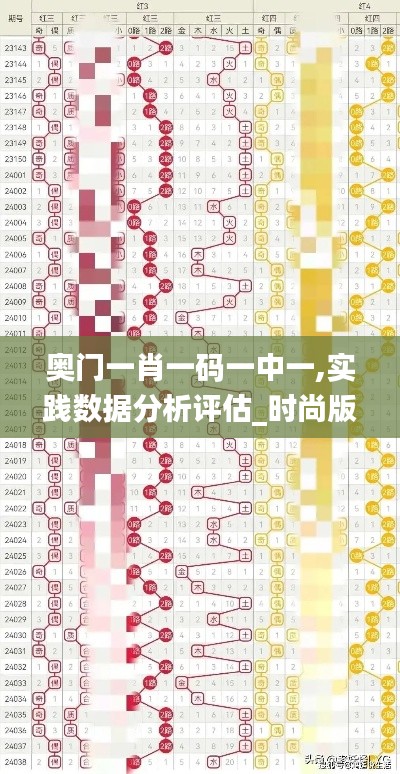 奥门一肖一码一中一,实践数据分析评估_时尚版ZDR5.41