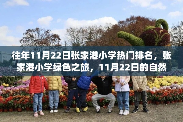 张家港小学排名与绿色自然美景探索之旅（11月22日）