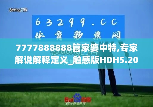 7777888888管家婆中特,专家解说解释定义_触感版HDH5.20