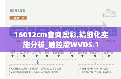 16012cm查询澳彩,精细化实施分析_触控版WVD5.1