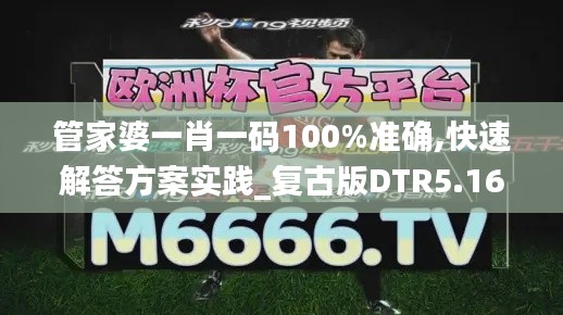 管家婆一肖一码100%准确,快速解答方案实践_复古版DTR5.16