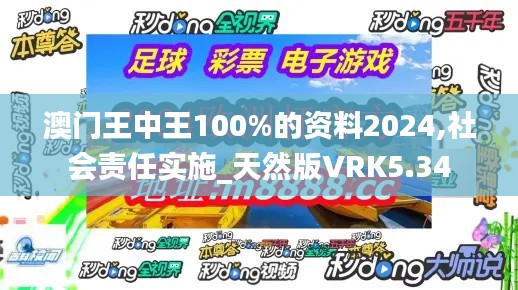 澳门王中王100%的资料2024,社会责任实施_天然版VRK5.34