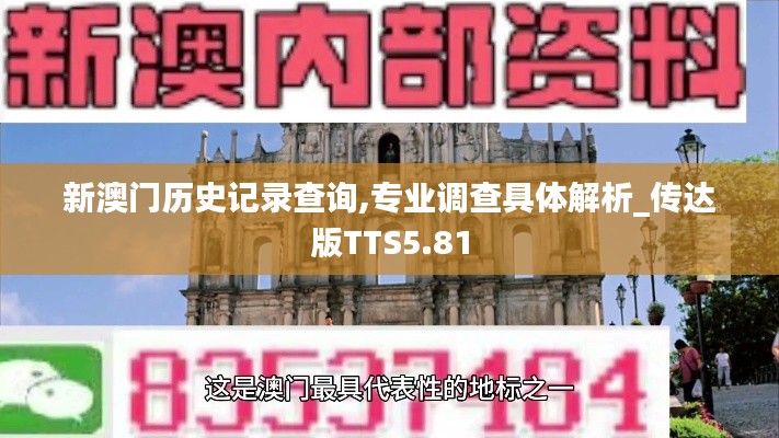 新澳门历史记录查询,专业调查具体解析_传达版TTS5.81