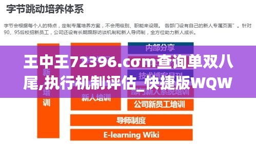 王中王72396.cσm查询单双八尾,执行机制评估_快捷版WQW5.70