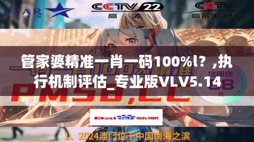 管家婆精准一肖一码100%l？,执行机制评估_专业版VLV5.14