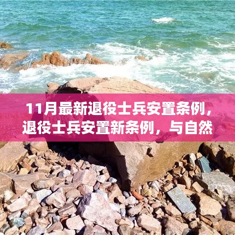 最新退役士兵安置条例下的心灵之旅，与自然美景的邂逅