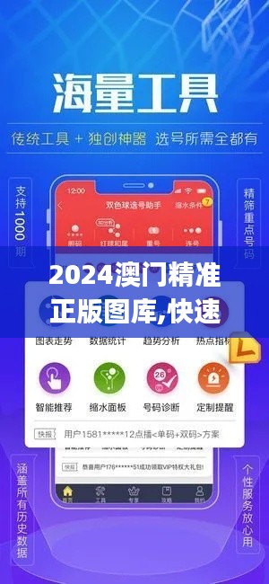 2024澳门精准正版图库,快速解答方案实践_定向版YLC5.82