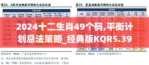 2024十二生肖49个码,平衡计划息法策略_经典版KQR5.39