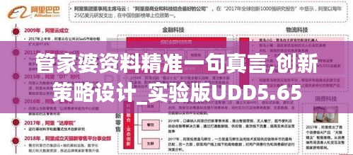 管家婆资料精准一句真言,创新策略设计_实验版UDD5.65