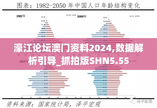 濠江论坛澳门资料2024,数据解析引导_抓拍版SHN5.55