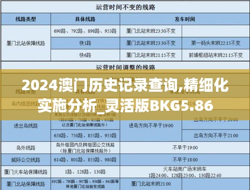 2024澳门历史记录查询,精细化实施分析_灵活版BKG5.86