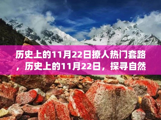 历史上的11月22日，撩人热门套路与探寻自然美景的旅行达人攻略